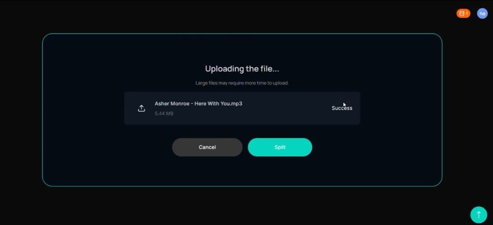 Step 4: Start Processing