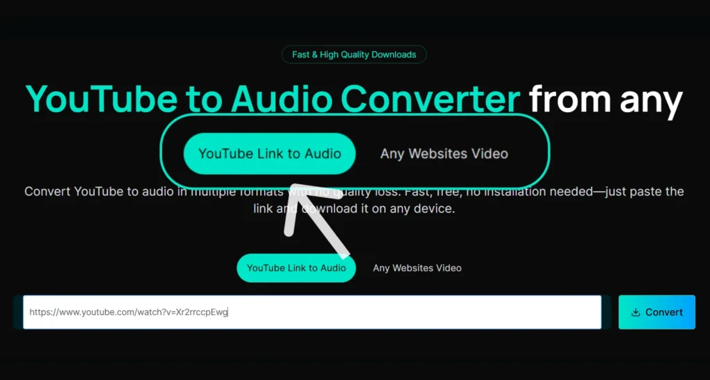 Step 1: Paste the YouTube Video's Link into DeVoice